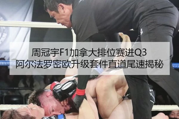 周冠宇F1加拿大排位赛进Q3 阿尔法罗密欧升级套件直道尾速揭秘